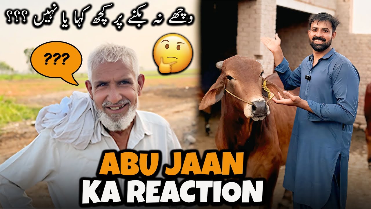second-day-of-eid-ul-adha-abu-jaan-ka-reaction