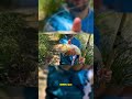 Pesca de dorado en Escobar #pescar #repesca #fishing #comopescar #pescadedorados