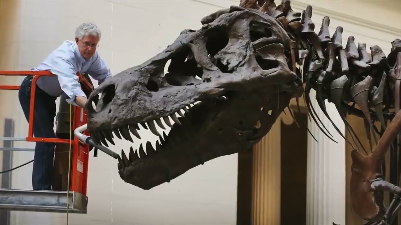 Sue: The Epic Discovery of the Largest T. rex Skeleton