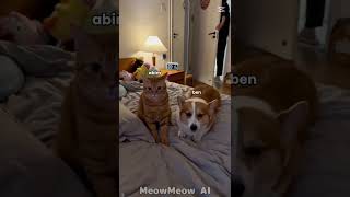 poşs3e3pojfeoş3zo klj,gfb lot,rhjotpşdgxjrdzoçjggrop,jrııp4rgsı89osr4g8p4yrsk8ğrğtsı98rtğxığprthikğğ