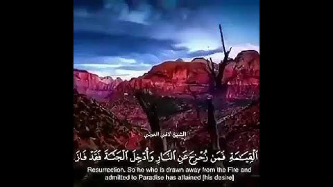 آيات رائعة من سورة آل عمران تهز القلوب راحه للقلب💚الشيخ لافي العوني♦️