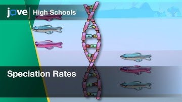 Speciation Rates | Bio | Video Textbooks - Preview
