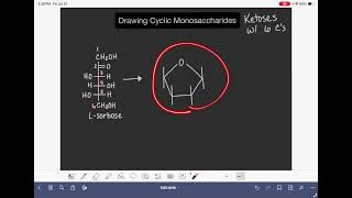 62: Drawing cyclic ketoses with 6 carbon atoms 