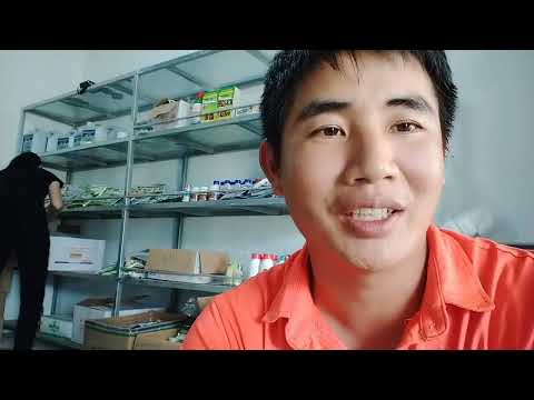 Video Cung cấp giải pháp bón phân kết hợp làm cỏ đợt 1 cho... - YouTube