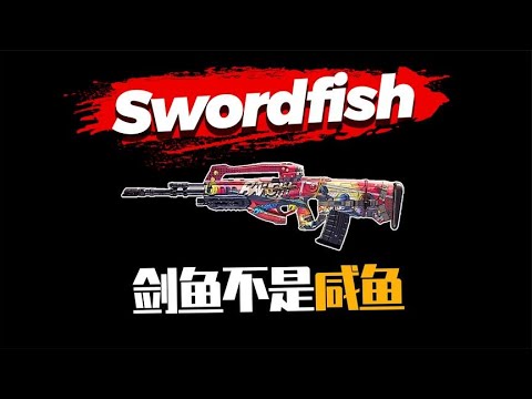 【使命召唤手游】虽然冷门 但感觉还不错 剑鱼不是咸鱼 #不二哥哥Codm