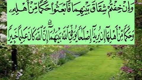 سورة النساء اية ٣٥ جمال القرش