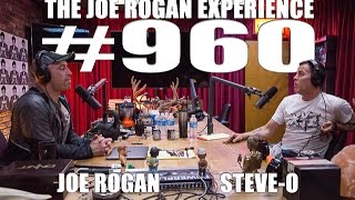 Joe Rogan Experience #960 - Steve-O