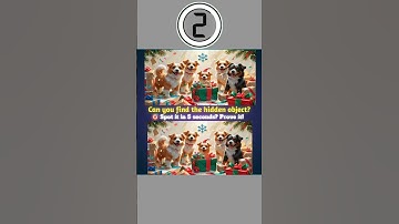 Can You Find It in 5 Seconds? Hidden Object Challenge! 🔍 #hiddenobject #shorts