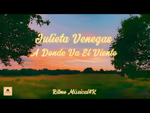 "Julieta Venegas - A dónde va el viento (Letra/Lyrics)"