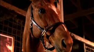 Louisiana Lottery Stable Commercial