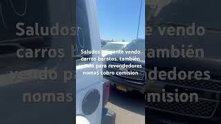 Carros los primos auto auction 😁