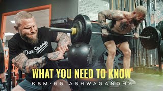 What you NEED to know about KSM-66 Ashwagandha