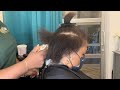 She said it’s time for a change| how to add tracks between natural hair | hair extensions blending