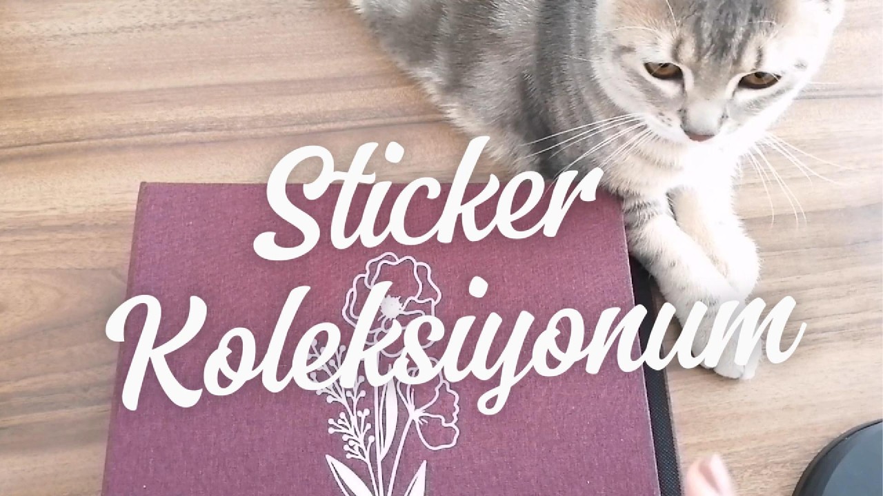 Sticker Koleksiyonumu İnceliyoruz!