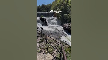 ما تيسر من سورة الجن بصوت المقرئ الشيخ ياسر الدوسري.