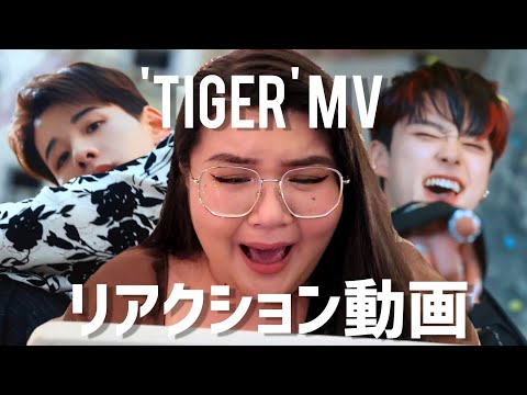 JO1 | 'Tiger' Official MV Reaction