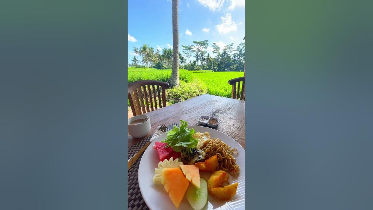 Enjoy Breakfast At Resort! Nice View Of Rice Fields,Bali,Ubud,Indonesia -  Youtube