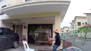Crested Goshawk training: Power jump