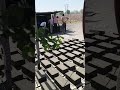 #trending video Chamunda block factory 🏭 #viralvideo