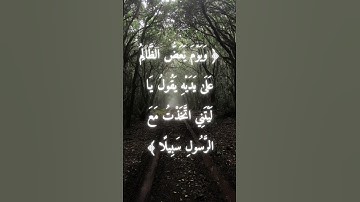 السورة: الفرقان القارئ: إسلام صبحي الاية: 27