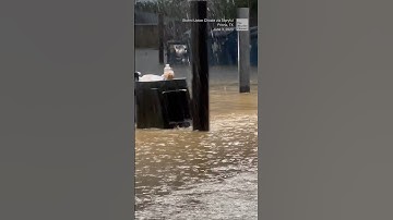 West Texas gas station partially submerged by floodwaters | #shorts #newvideo #trending #weather