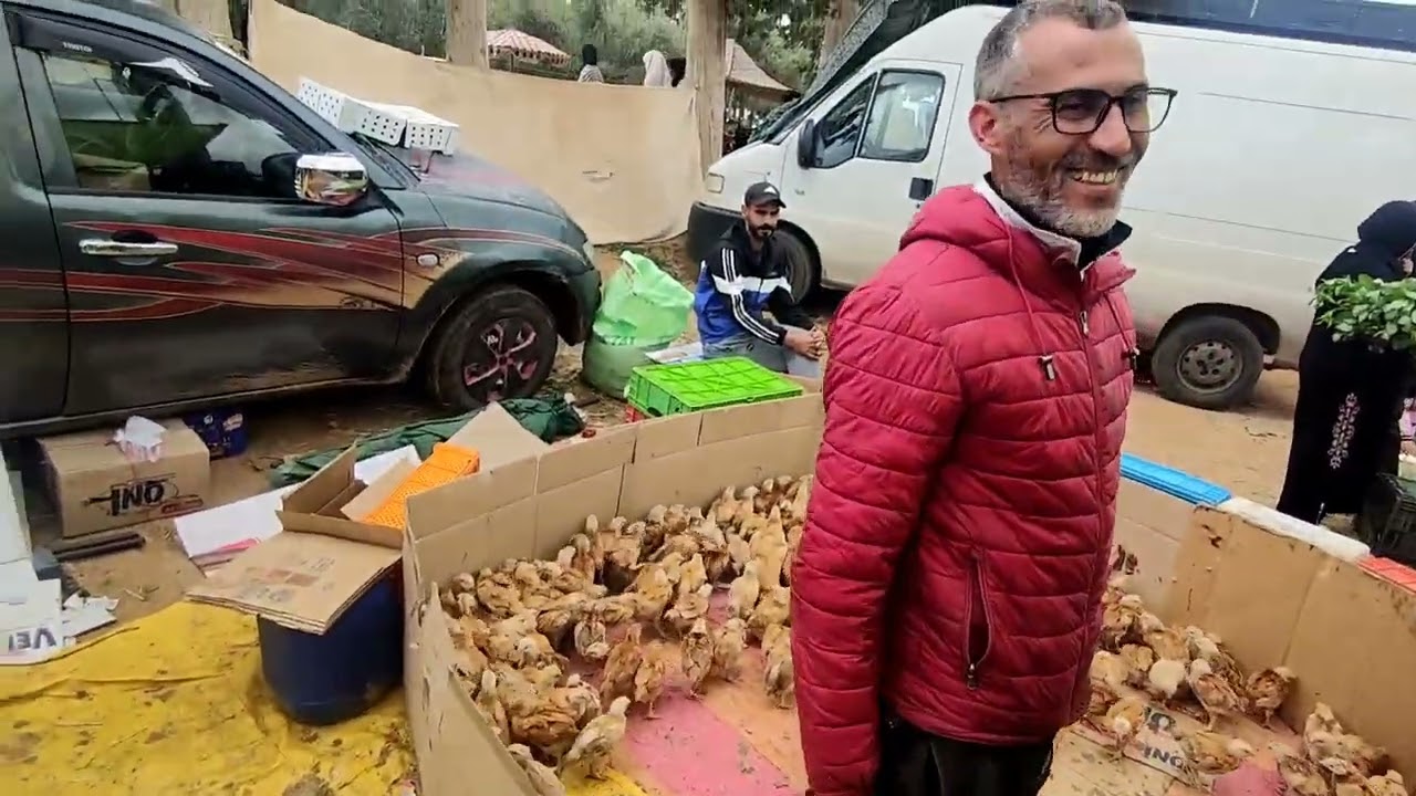 من رحبة الدجاج البلدي والقنية والفلوس الكروازي سوق الأحد سبع عيون مكناس