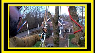 BOOM BOVEN SCHUURTJE KLIMMEND AFBREKEN MET STAMHOUT AFVANGEN