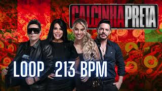 Calcinha Preta - Forró Eletrônico 213 Bpm - Ó Çadesalão