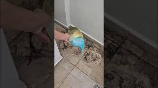 Mistura mágica para tirar manchas.