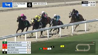 Vidéo de la course PMU MAIDEN CLAIMING