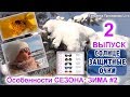 Особенности СЕЗОНА: ЗИМА #2  Нужны ли СОЛНЦЕзащитные очки ЗИМОЙ? | Татьянка Прозорова