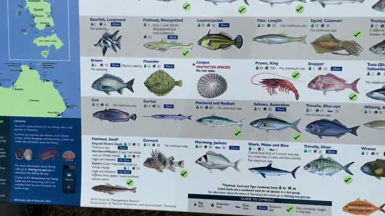 Exploring Tomahawk Beach