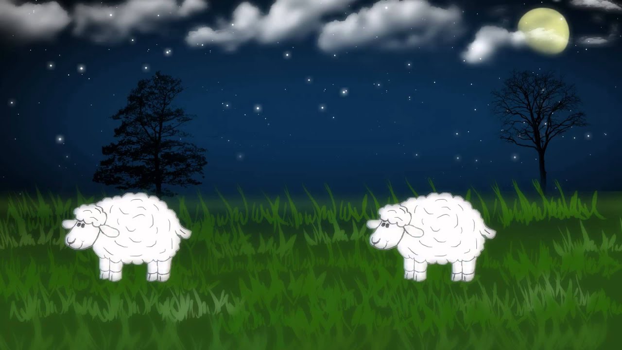 Schlaflose Nächte Schafe zählen - YouTube