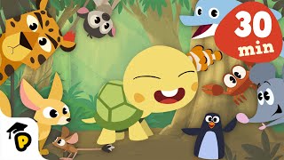 Animals Around Us | Animal Compilation | Kids Learning Cartoon | Dr. Panda TotoTime Season 1 \& 2
