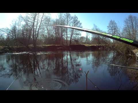 рыбалка на маховую удочку - река Десна