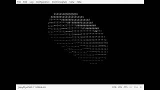 donut riscv over rt-thread