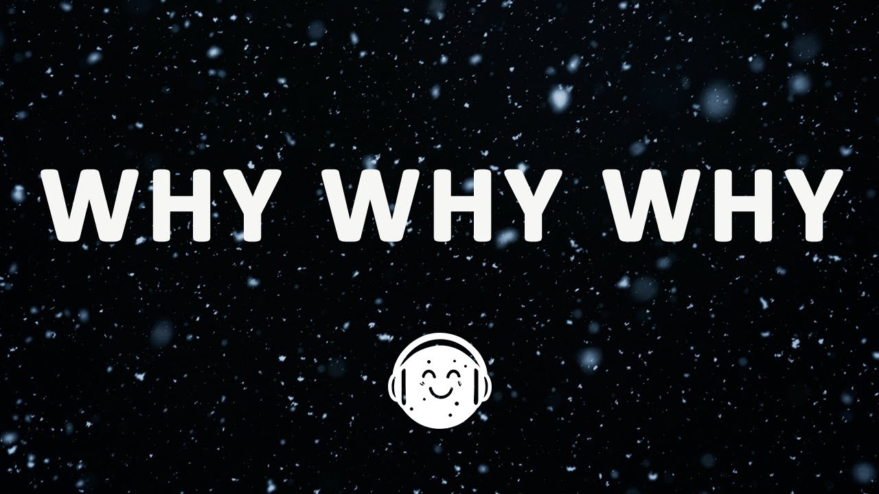 Shawn Mendes - Why Why Why (Lyrics)