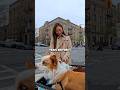 Pet Wagon - Episode 59 - Meet Becca 😇 #PetWagon #GuessThePet #dogs #petlovers
