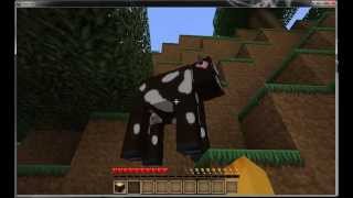 Minecraft - Duvara Dayayan Genç - Bölüm 1