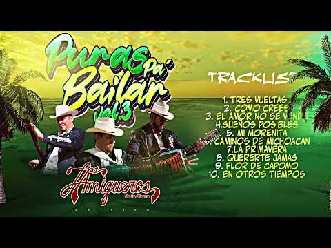 Puras Pa´Bailar Vol 3 · Los Amigueros De La Sierra [Disco Completo]