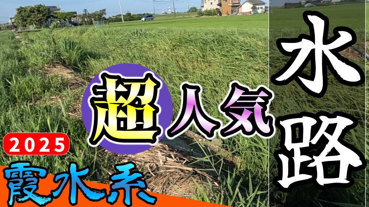 【バス釣り】【霞ヶ浦】有名水路はやっぱ釣れる