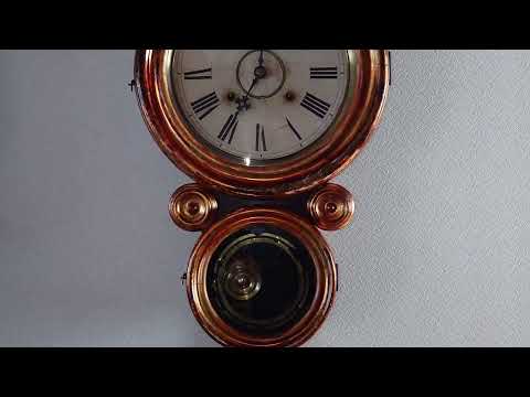 〈OH済完動美品〉ANSONIA　小型金箔本四ツ丸達磨ゼンマイ振り子掛け時計 OH済完動美品〉ANSONIA 小型金箔本四ツ丸達磨ゼンマイ振り子 〈