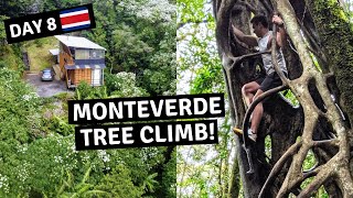 COSTA RICA ROAD TRIP 🇨🇷 Monteverde Tree Climb + Coffee Tour | Vero and Justin (Travel vlog video)