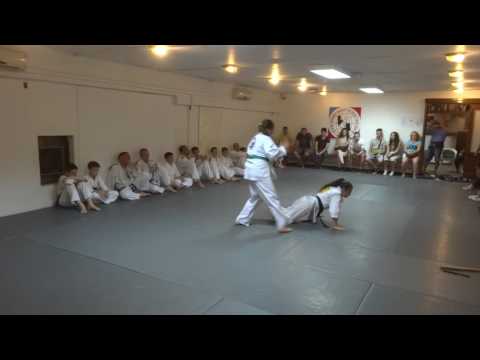 Klub realnog aikidoa i jujutsu Novi Sad Polaganje za zvanja jun 2017 III i IV grupa odrasli 14/30