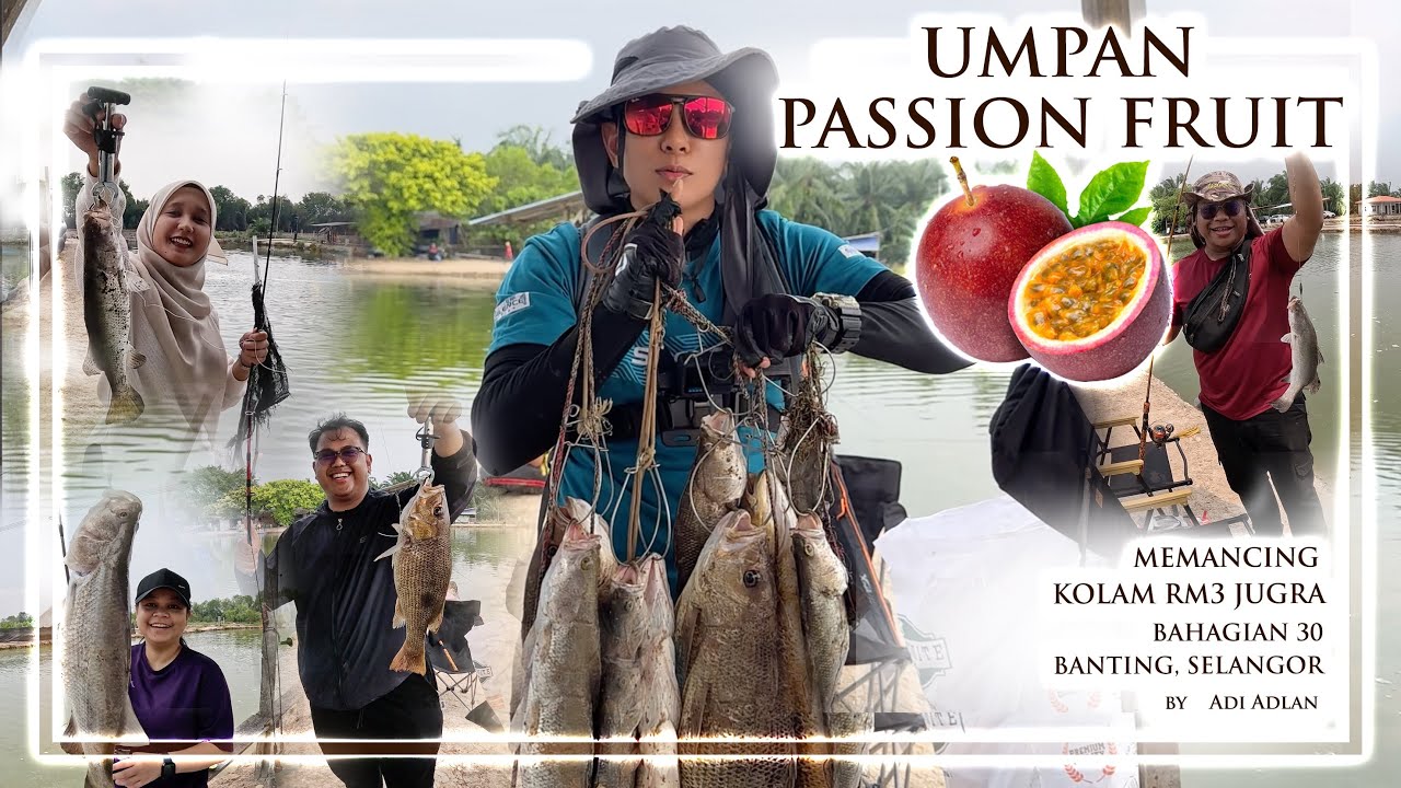 KOLAM JUGRA RM3 BGHN 30 - UMPAN BUAH PASSION FRUIT