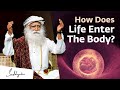 How Does Life Enter The Body? Sadhguru Answers