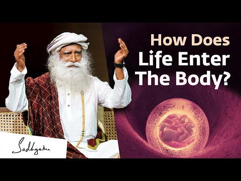 Video: How To Enter Life