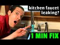 EASY FIX! Kitchen Faucet Leaking? How to fix a leaky kitchen faucet in 1 minute