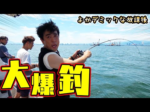 博多駅から20分の港から太刀魚が大爆釣した！！