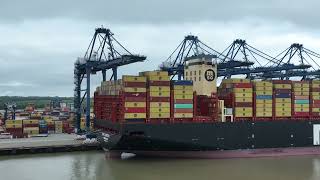 MSC LORETO Fly By 4K